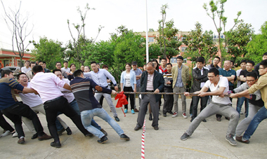 2015年度事業部拔河比賽圓滿結束